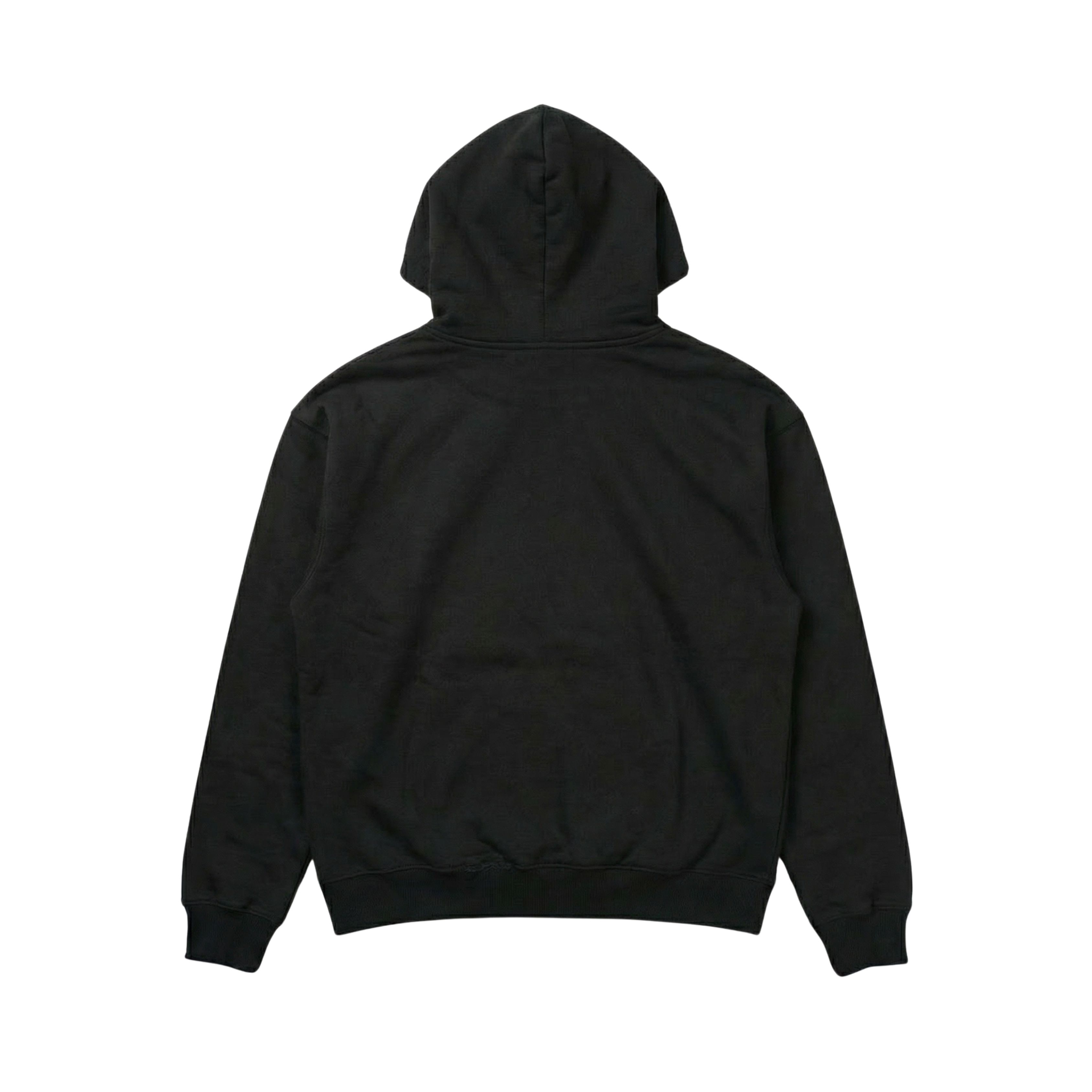 Praevaleo Capsule Hoodie