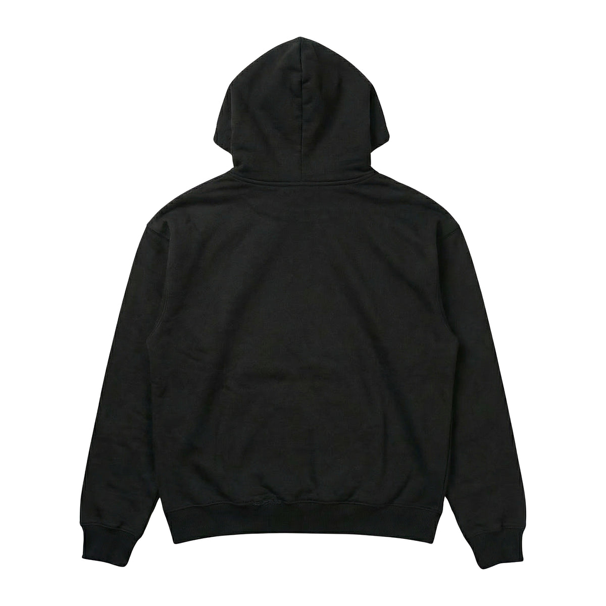 Capsule Hoodie in Obsidian, Rückansicht