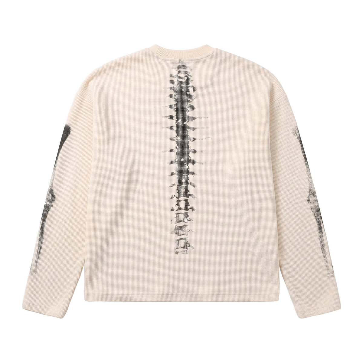 X-Ray Sweatshirt in Bone, Rückenansicht mit Wirbelsäulen-Print